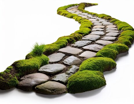 gently curving cobblestone garden path with patches of green moss between stones winding stone walkway for garden and landscaping design isolated on white background