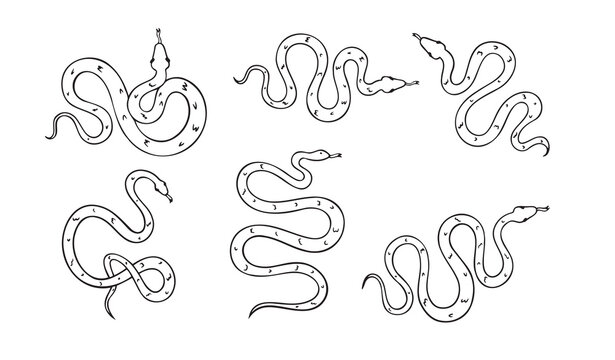 Hand drawn doodle snake top view icon set. Outline drawing isolated snake on white background.