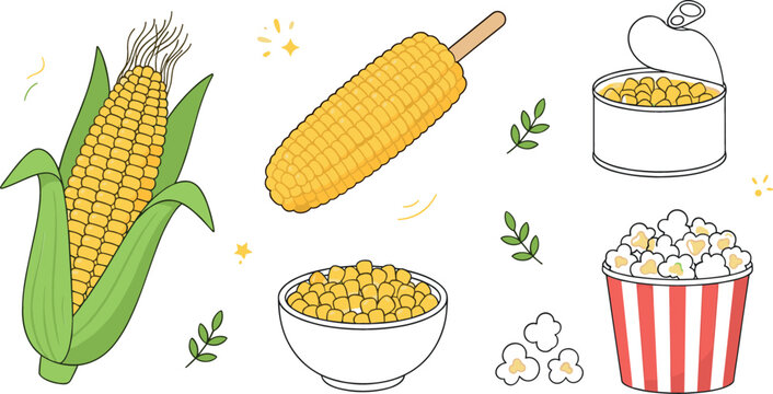Fresh sweet corn cob on cob vector illustration set with popcorn bucket canned sweetcorn kernels bowl and agricultural harvesting farm food design elements.