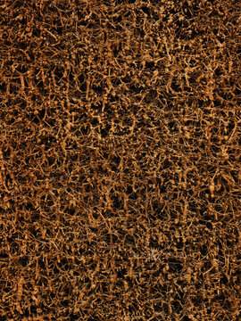 Brine trickles down a wall of blackthorn brushwood