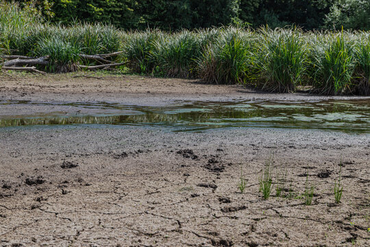 Beinahe ausgetrocknetes Feuchtgebiet
