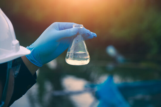 Officials monitoring water quality by collecting samples from natural sources for laboratory examination.