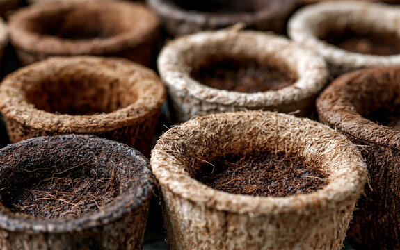Close up of biodegradable seedling pots made from coconut fiber arranged in rows with natural texture and earthy tones