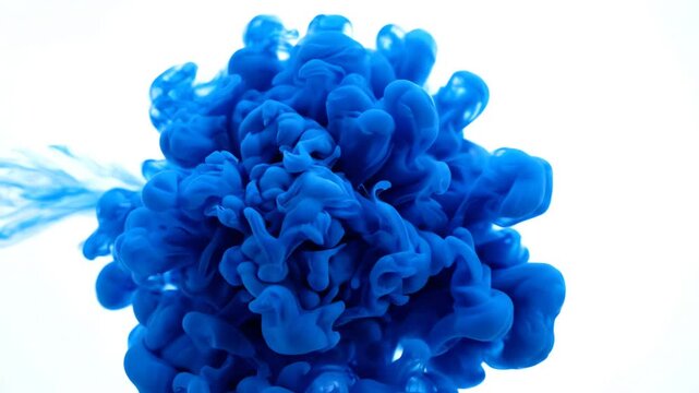 Single point of vibrant azure color slowly expanding and blossoming against a pure white background in a graceful fluid motion