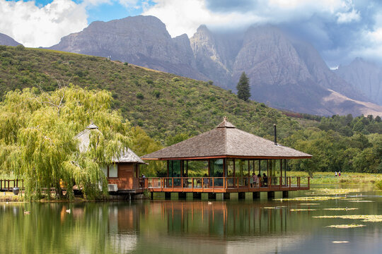 View of a modern glass-walled building on a lake island with a weeping willow tree and dramatic mountain backdrop in Stellenbosch, Western Cape, South Africa.
