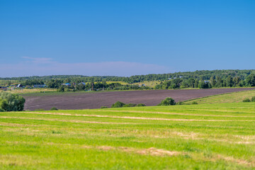 Fototapeta premium Vast green fields stretch under a bright blue sky in a serene rural landscape at midday