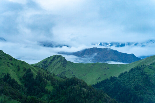 View of the lush green slopes of Ali Bedni Bugyal trek with rolling hills, dense forest patches, and low-hanging clouds in Chamoli, Uttarakhand, India.