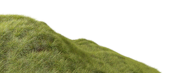 Obraz premium Grass dense terrain environmental cutout transparent backgrounds 3d rendering png