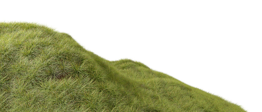 Grass dense terrain environmental cutout transparent backgrounds 3d rendering png