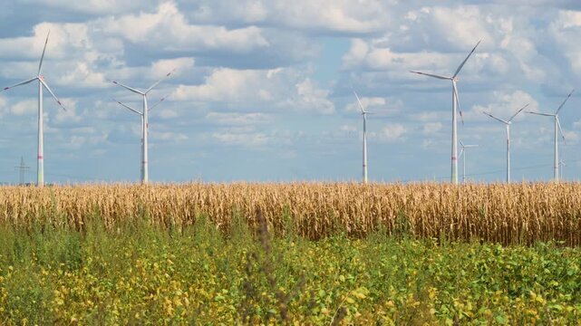 wind turbines in countryside with cornfield in foreground 4K