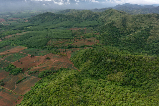 Aerial view of green rolling hills and deforested agricultural land plots
