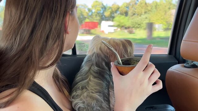 Teenage girl singing happily with her Yorkshire Terrier dog in the back of a car while holding a mate gourd and looking out the window during a road trip