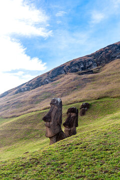 View of the ancient Moai statues standing on the grassy volcanic slopes of the Rano Raraku quarry on Easter Island, Valparaiso, Chile.