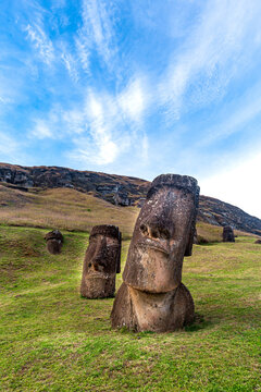 View of Moai statues standing on the grassy volcanic slopes of Rano Raraku quarry under a bright blue sky on Easter Island, Valparaiso, Chile.