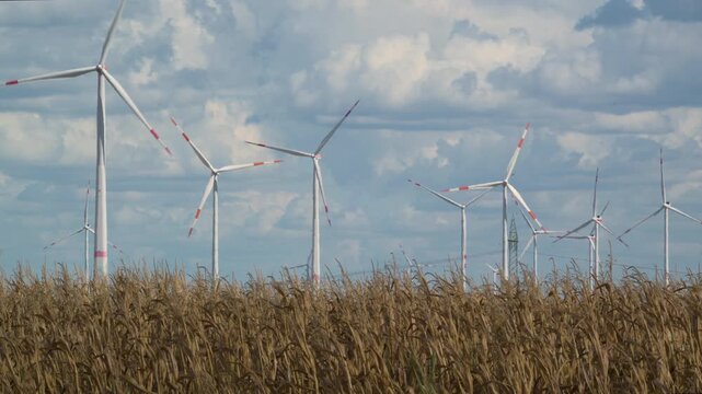 wind turbines in countryside with cornfield in foreground 4K