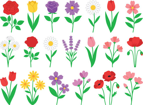 Set of colorful spring flowers and botanical plants in a simple flat vector style