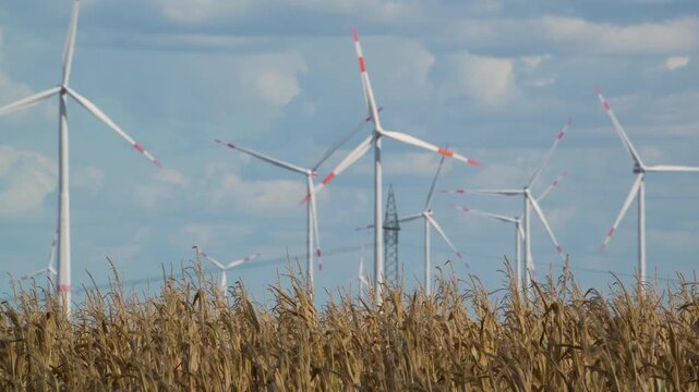 wind turbines in countryside with cornfield in foreground 4K