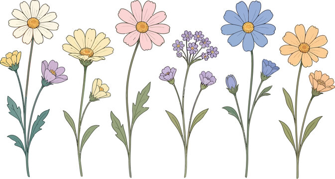 Set of colorful hand drawn wildflowers and garden plants with delicate stem and leaves