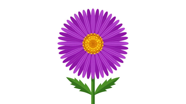 Purple Aster Flower Flat Vector Illustration