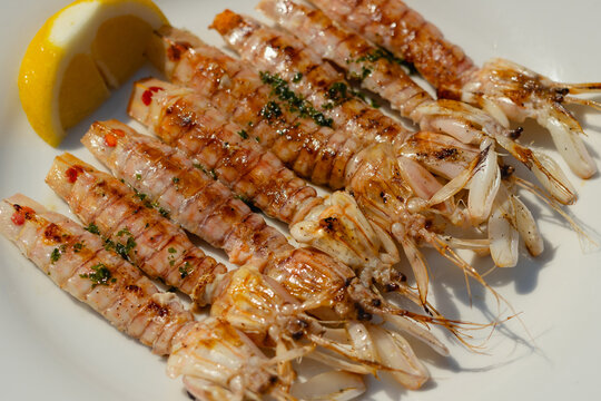 Grilled mantis shrimp squilla mantis on tray typical Adriatic crustacean lagoon dish