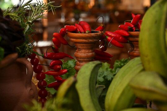 red pimenta dedo de mo&ccedil;a chili pepper garlands draped over terracotta pedestals with green bananas for brazilian feijoada buffet decoration, catering close up horizontal shot