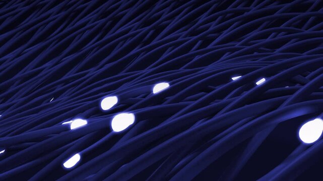 3d animation of growing blue fiber optic cables filling dark background, glowing LED cable tips moving smoothly to cover frame with dense woven network structure