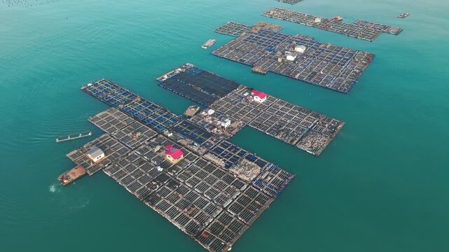 An aerial view displays traditional fish farming cages floating in the coastal waters of Pingtan County in Fujian Province China