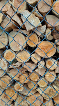 Galvanized wire mesh fence overlaid on a stack of cut and stacked hardwood firewood. The textures of the wire mesh and the wood rings visually intertwine.