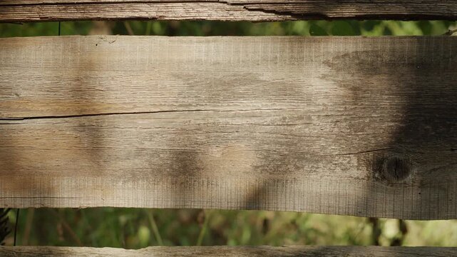 Old weathered wooden fence board with natural light and shadow effect