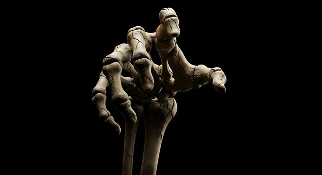 Detailed Close-up 3D Render of a Human Skeleton Hand Reaching Forward Isolated Against a Dark Black Background Representing Anatomy and Mortality