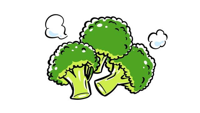 Hand drawn illustration of hot steamed broccoli on white background