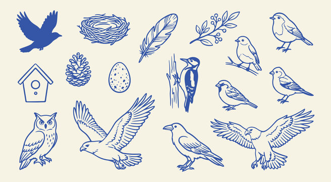 Doodle set of handdrawn bird illustrations including various species, a nest, an egg, a feather, a pinecone, and a birdhouse