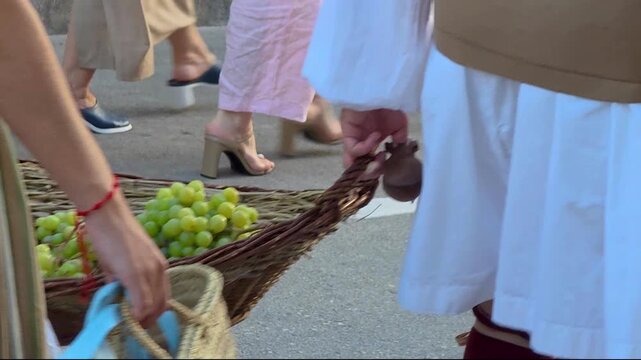 Close up slow motion shot of people in traditional Spanish folk costumes carrying large wicker basket full of white grapes during harvest festival parade.