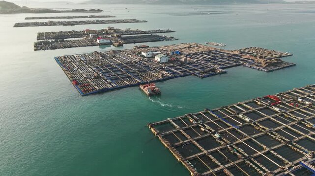 Aerial view of floating fish farming cages and aquaculture structures situated in the coastal waters of Pingtan County in Fujian Province China