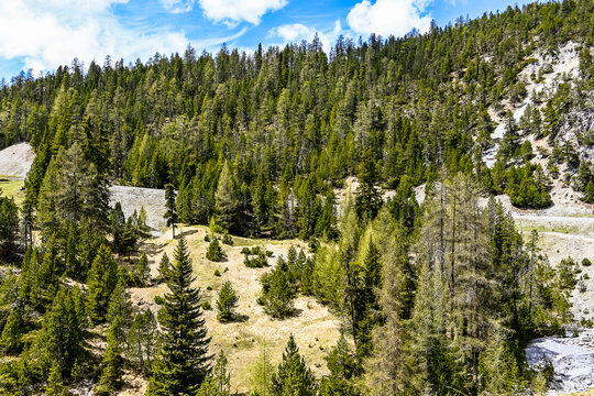 Zernez, Ofenpass, Passstrasse, Bergstrasse, Engadin, Pass, Nationalpark, Ova Spin, Val M&uuml;stair, Alpen, Fr&uuml;hling, Sommer, Graub&uuml;nden, Schweiz