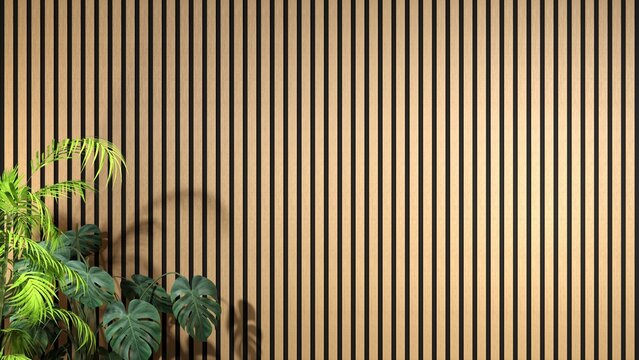 Modern Studio Background with Wood Slats Wall and Tropical Plants for Video Overlay