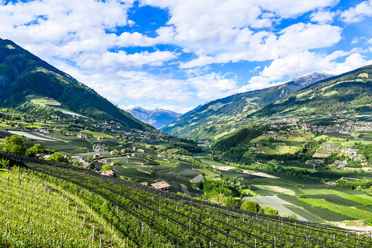 Dorf Tirol, Passeier, Fluss, Passeiertal, Vorderpasseier, Hafling, Meran, Weinberge, Obstb&auml;ume, Landwirtschaft, Wanderweg, Fr&uuml;hling, Sommer, S&uuml;dtirol, Italien