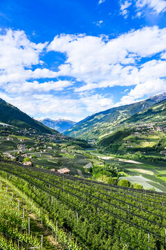 Dorf Tirol, Passeier, Fluss, Passeiertal, Vorderpasseier, Hafling, Meran, Weinberge, Obstb&auml;ume, Landwirtschaft, Wanderweg, Fr&uuml;hling, Sommer, S&uuml;dtirol, Italien