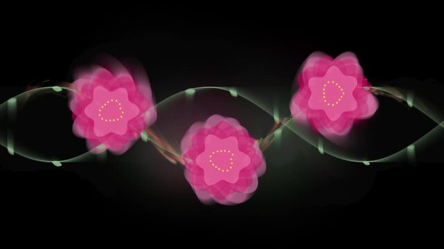 Elegant Pink Flower Blossoms Floating Along Glowing Neon Wave Lines on Dark Digital Backdrop Video