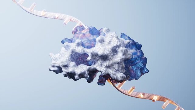3D RNA Strand Interacting with Protein Structure in Looping Molecular Biology and Genetic Research Animation