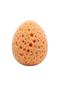 A single oval shaped orange bath sponge with porous texture for cleaning and personal care isolated on transparent background
