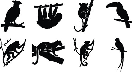 Fototapeta premium Tropical rainforest animals black vector silhouette set featuring monkey, toucan, sloth, and panther on tree branches