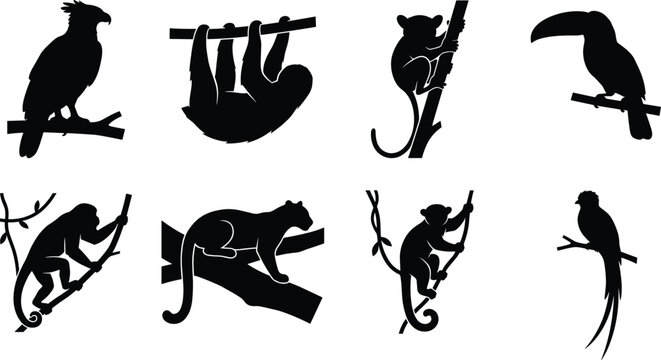 Tropical rainforest animals black vector silhouette set featuring monkey, toucan, sloth, and panther on tree branches