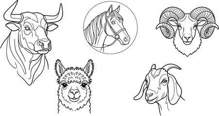 Fototapeta premium Farm Livestock Animal Portraits Line Icon Set Featuring Bull Head, Bridled Horse, Horned Ram, Alpaca Llama, and Goat