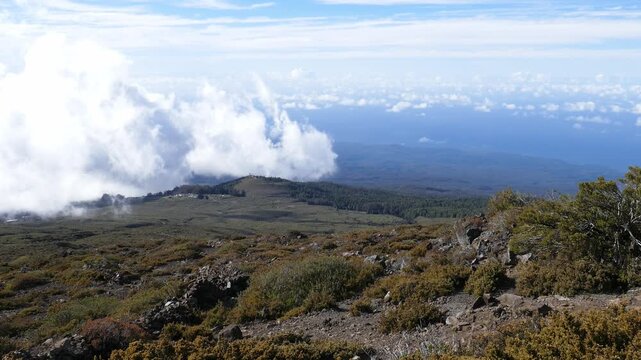 Along highway 378 near the Leleiwi Overlook in Haleakalā National Park. Around 8,800 feet above sea level over the cloud line, up the Haleakala volcano. Facing north, on the island of Maui, Hawaii.