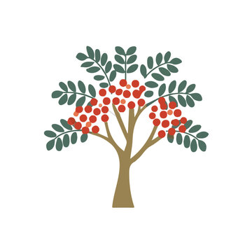 Rowan Tree, presented as a modern flat 2D vector icon graphic on a white background