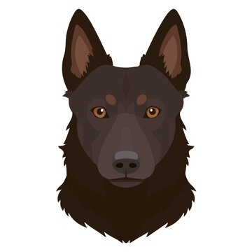 2D flat vector graphic of a Kelpie in icon style, isolated on white background
