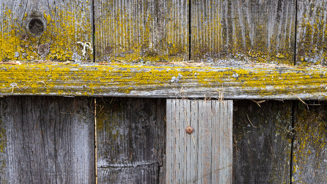 Old Wooden Fence
