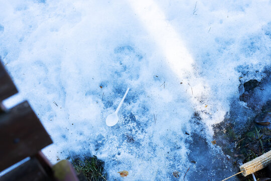Snow melts quickly. Warm weather reveals thawed wood. Frozen snow gives way to moist wood surface