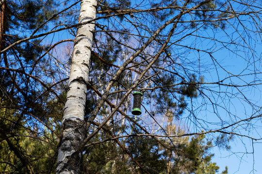 Idyllic countryside setting featuring green birdhouse nestled among lush trees under bright blue sky